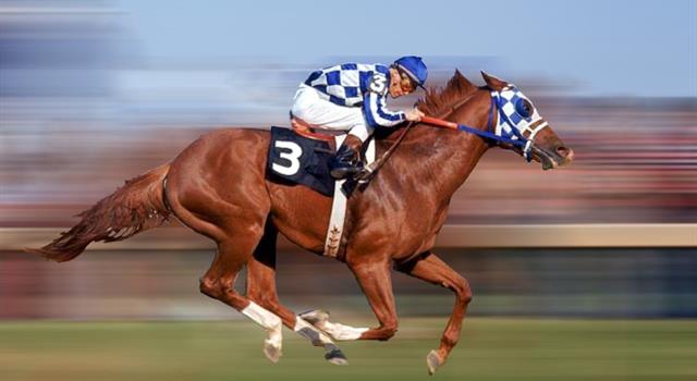 How many Triple Crown winners in American horse racing have there been between 1919 and 2017? How many Triple Crown winners in American horse racing have there been between 1919 and 2017?