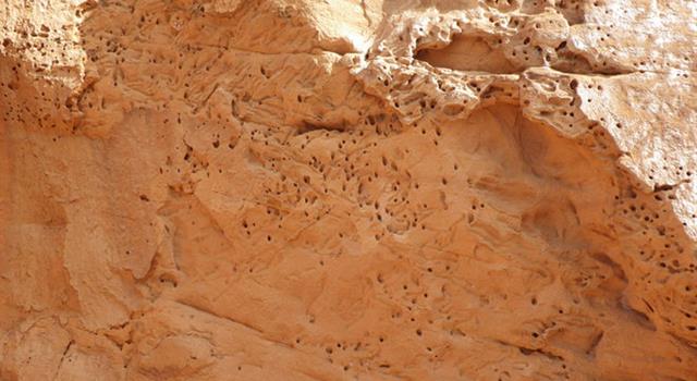 How were these holes in this sandstone rock made?