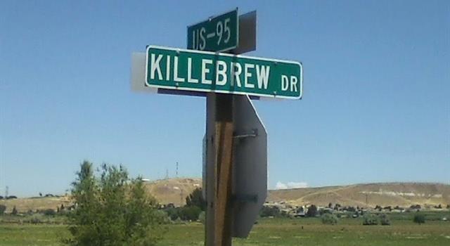 Sport Trivia Question: In what town would one find this signpost indicating the intersection of US Highway 95 and Killebrew Drive? Sport Trivia Question: In what town would one find this signpost indicating the intersection of US Highway 95 and Killebrew Drive?