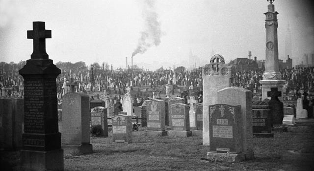 История Вопрос: Как Моцарт был похоронен? История Вопрос: Как Моцарт был похоронен?