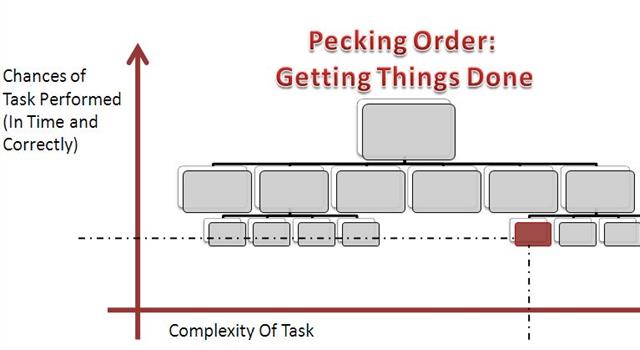 History Trivia Question: The phrase 'pecking order' originated in the traditional behaviour of which birds? History Trivia Question: The phrase 'pecking order' originated in the traditional behaviour of which birds?
