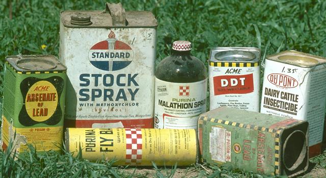 Society Trivia Question: What book facilitated the ban of the pesticide DDT in 1972 in the U.S.? Society Trivia Question: What book facilitated the ban of the pesticide DDT in 1972 in the U.S.?