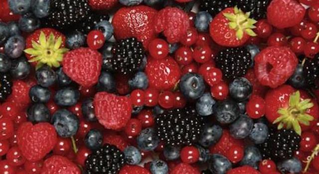 Science Trivia Question: What is crossed with a blackberry and loganberry to produce a boysenberry? Science Trivia Question: What is crossed with a blackberry and loganberry to produce a boysenberry?