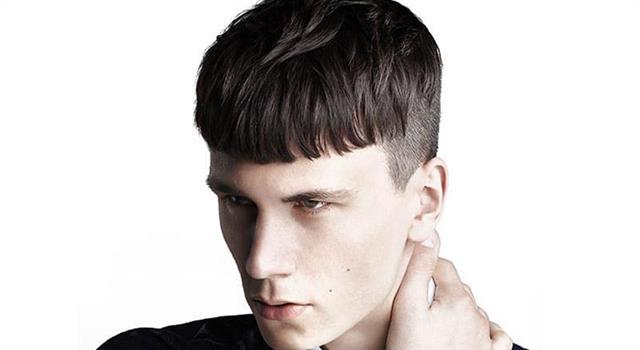 Which of these is a man's hairstyle characterised by short length and a fringe brushed down on the forehead? Which of these is a man's hairstyle characterised by short length and a fringe brushed down on the forehead?