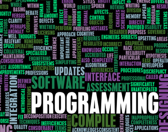 Who is regarded as the first computer programmer?