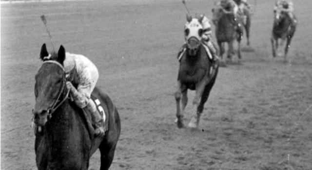 Sport Trivia Question: Who was the only horse to win thoroughbred "Horse of the Year" 5 times? Sport Trivia Question: Who was the only horse to win thoroughbred "Horse of the Year" 5 times?