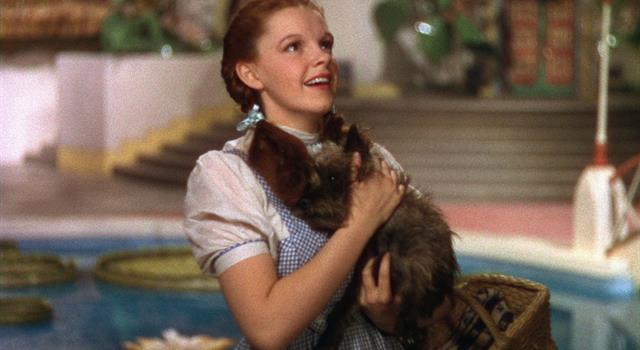 Movies & TV Trivia Question: Who wrote the Judy Garland classic song "Over the Rainbow"? Movies & TV Trivia Question: Who wrote the Judy Garland classic song "Over the Rainbow"?