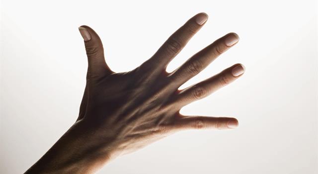 Culture Trivia Question: A five finger exercise is a piece of music written for the purpose of practicing on what instrument? Culture Trivia Question: A five finger exercise is a piece of music written for the purpose of practicing on what instrument?