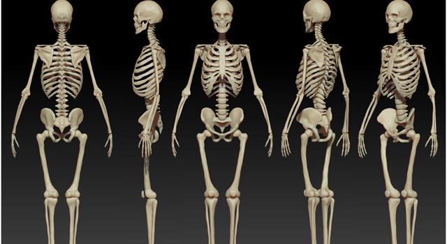 Science Trivia Question: Barton's fracture affects what joint in the human body? Science Trivia Question: Barton's fracture affects what joint in the human body?
