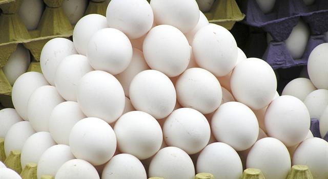 Culture Trivia Question: How many different sizes of eggs does the USDA currently recognize? Culture Trivia Question: How many different sizes of eggs does the USDA currently recognize?