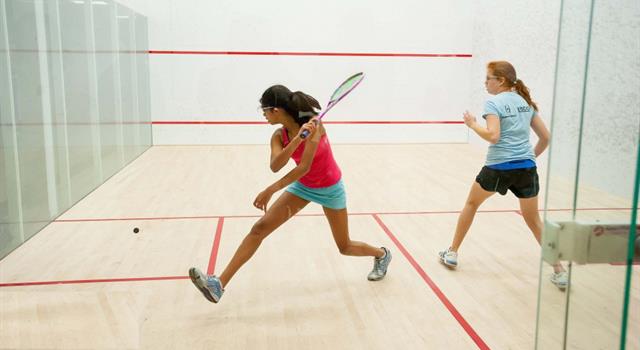 Sport Trivia Question: In the game of squash, the fastest balls have what color dot? Sport Trivia Question: In the game of squash, the fastest balls have what color dot?