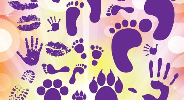 History Trivia Question: What is considered the first North American animal made extinct by human activity? History Trivia Question: What is considered the first North American animal made extinct by human activity?