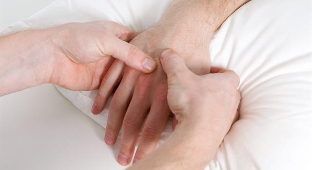 Science Trivia Question: What is the method of feeling with the fingers or hands during a physical examination? Science Trivia Question: What is the method of feeling with the fingers or hands during a physical examination?