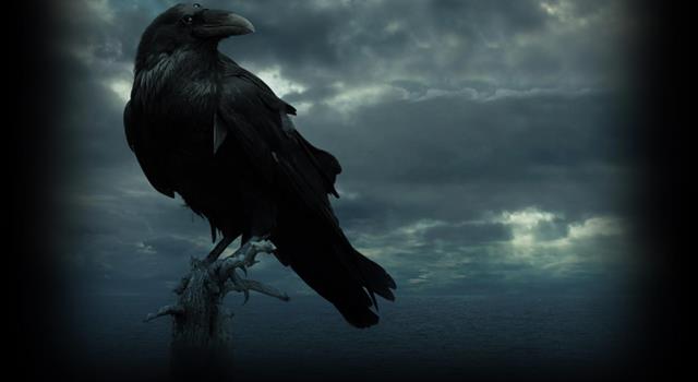 What is the only word said by the raven in the poem written by Edgar Allan Poe?