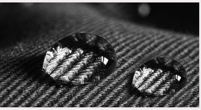 History Trivia Question: What two scientists, who were inducted into the National Inventors Hall of Fame in 2001, invented the fabric treatment known as Scotchgard? History Trivia Question: What two scientists, who were inducted into the National Inventors Hall of Fame in 2001, invented the fabric treatment known as Scotchgard?