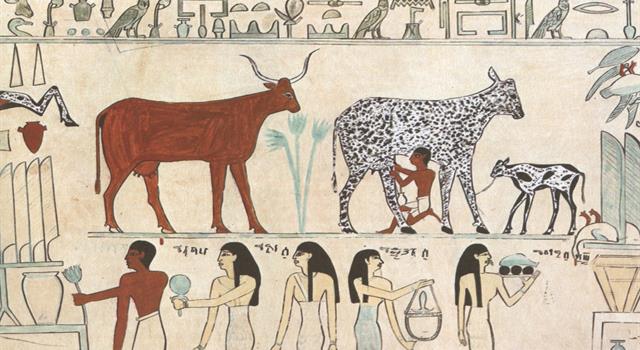 History Trivia Question: According to National Geographic, which of the following was likely the first domesticated animal? History Trivia Question: According to National Geographic, which of the following was likely the first domesticated animal?