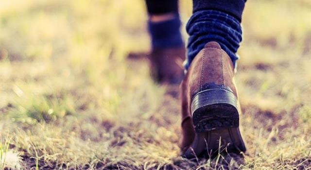 History Trivia Question: Who wrote the book "One Step Forward, Two Steps Back"? History Trivia Question: Who wrote the book "One Step Forward, Two Steps Back"?