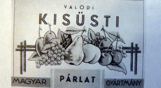 If I ask for some Palinka, what am I asking for? If I ask for some Palinka, what am I asking for?