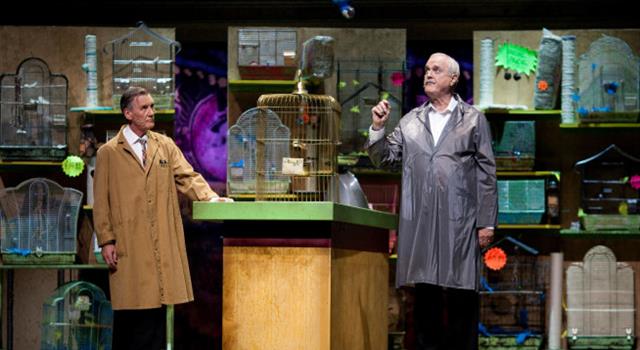 Movies & TV Trivia Question: In Monty Python's the "Dead Parrot Sketch", what breed is the parrot? Movies & TV Trivia Question: In Monty Python's the "Dead Parrot Sketch", what breed is the parrot?