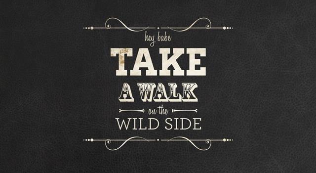 In The Song Take A Walk On The Wild Trivia Questions Quizzclub