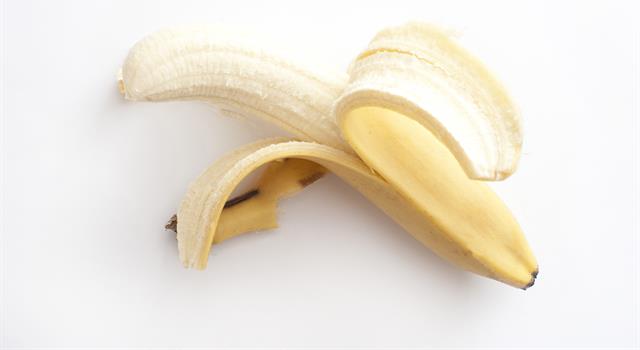 Nature Trivia Question: What are those weird strings on the inside of your peeled banana? Nature Trivia Question: What are those weird strings on the inside of your peeled banana?