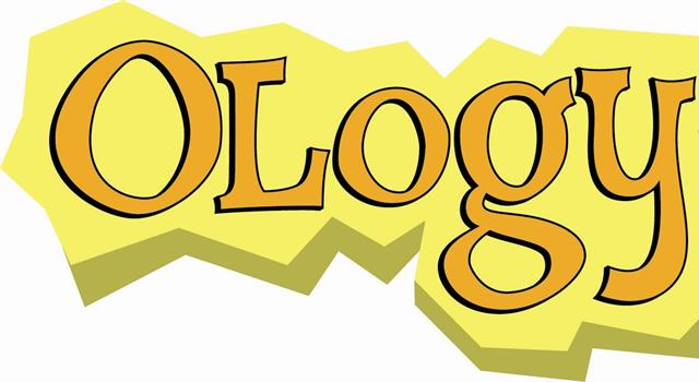 What is philology? What is philology?