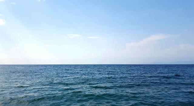 What is the Sargasso Sea? What is the Sargasso Sea?