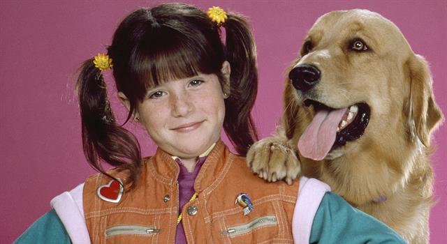 Movies & TV Trivia Question: What was the name of Punky Brewster's dog? Movies & TV Trivia Question: What was the name of Punky Brewster's dog?
