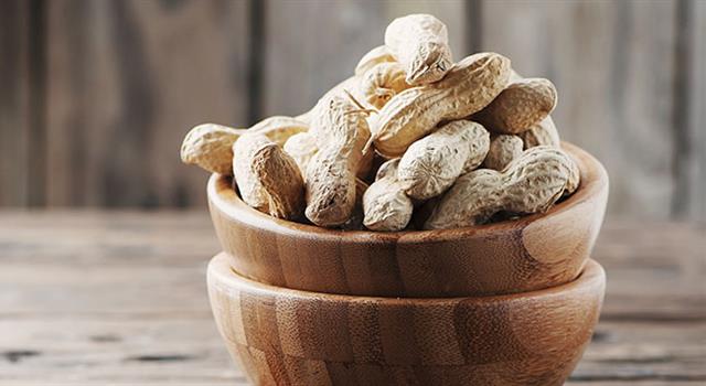 Culture Trivia Question: Which U. S. state is the largest producer of peanuts? Culture Trivia Question: Which U. S. state is the largest producer of peanuts?
