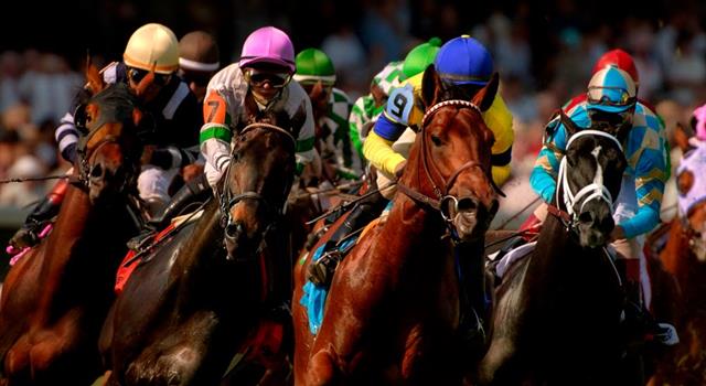 Sport Trivia Question: As of 2017, how many horses have won two legs of American horse racing's Triple Crown? Sport Trivia Question: As of 2017, how many horses have won two legs of American horse racing's Triple Crown?
