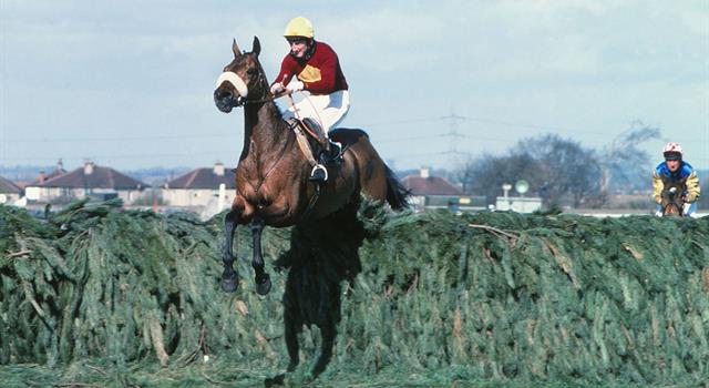 Sport Trivia Question: In 1977, who became the first female jockey to ride in the Grand National? Sport Trivia Question: In 1977, who became the first female jockey to ride in the Grand National?