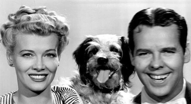Society Trivia Question: In the American comic strip, "Blondie", what is the name of Dagwood Bumstead's dog? Society Trivia Question: In the American comic strip, "Blondie", what is the name of Dagwood Bumstead's dog?