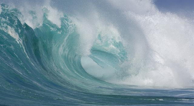 Nature Trivia Question: In the Douglas Scale for measuring wave heights at sea, what word is used to describe waves of over 14 metres? Nature Trivia Question: In the Douglas Scale for measuring wave heights at sea, what word is used to describe waves of over 14 metres?