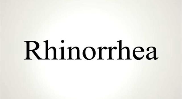 Nature Trivia Question: In the human body, what is the more common name for rhinorrhea? Nature Trivia Question: In the human body, what is the more common name for rhinorrhea?