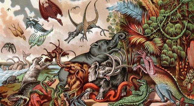 History Trivia Question: The megalodon is a prehistorical creature closely related to which of these animals? History Trivia Question: The megalodon is a prehistorical creature closely related to which of these animals?