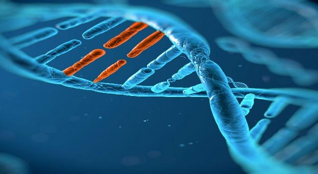 Science Trivia Question: Which Deoxyribonucleic Acid (DNA) base pairs are correct? Science Trivia Question: Which Deoxyribonucleic Acid (DNA) base pairs are correct?