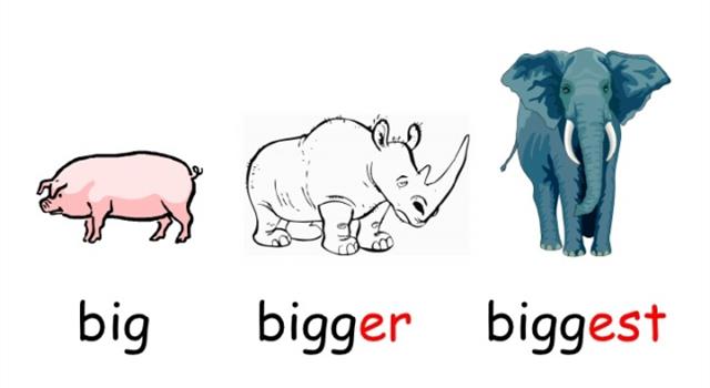 History Trivia Question: Which of the following covers the largest area? History Trivia Question: Which of the following covers the largest area?