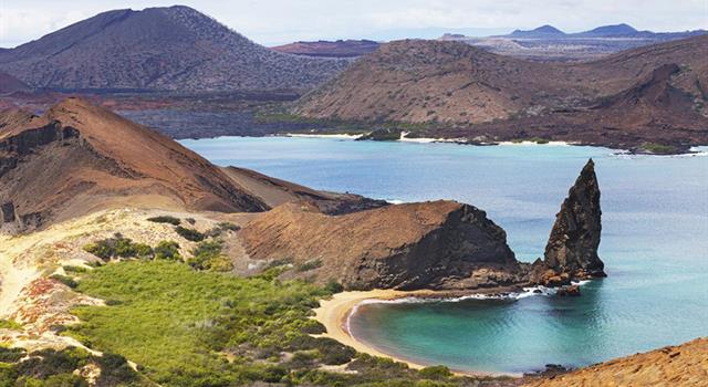 Nature Trivia Question: Which species is not indigenous to the Galápagos Islands? Nature Trivia Question: Which species is not indigenous to the Galápagos Islands?