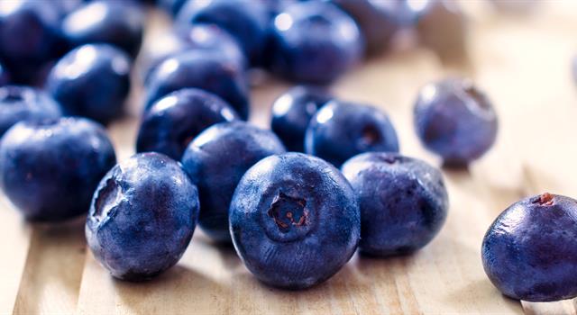 Culture Trivia Question: Which town in New Jersey is considered as "the blueberry capital of the world"? Culture Trivia Question: Which town in New Jersey is considered as "the blueberry capital of the world"?