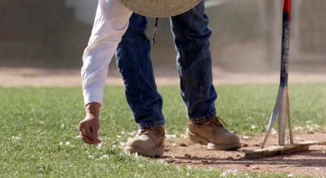 Sport Trivia Question: Who threw the baseball pitch that killed a dove in 2001? Sport Trivia Question: Who threw the baseball pitch that killed a dove in 2001?
