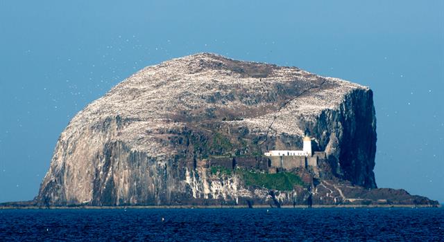 Geography Trivia Question: From which Scottish seaside town can boat trips be made to Bass Rock? Geography Trivia Question: From which Scottish seaside town can boat trips be made to Bass Rock?