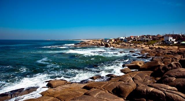 Culture Trivia Question: In 1998, Uruguay exceeded its quota under international fishing regulations by catching more than 930 tons of which species? Culture Trivia Question: In 1998, Uruguay exceeded its quota under international fishing regulations by catching more than 930 tons of which species?