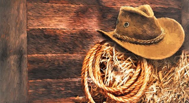 In the third film of the trilogy, "The Good, The Bad, and The Ugly, what actor represents "The Ugly"? In the third film of the trilogy, "The Good, The Bad, and The Ugly, what actor represents "The Ugly"?