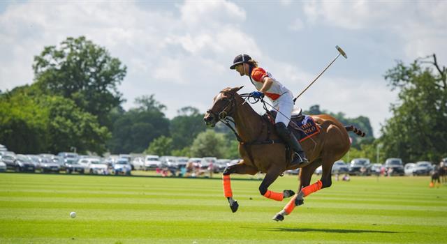 Sport Trivia Question: In which county is Cowdray Park, England's premier polo venue? Sport Trivia Question: In which county is Cowdray Park, England's premier polo venue?
