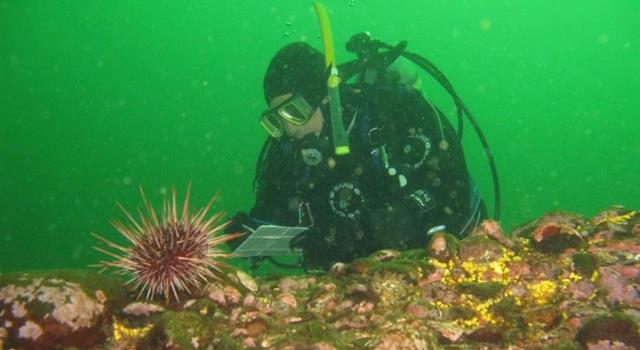 Geography Trivia Question: Lake Erie contains an artificial reef made from the pieces of which sports stadium demolished in 1996? Geography Trivia Question: Lake Erie contains an artificial reef made from the pieces of which sports stadium demolished in 1996?