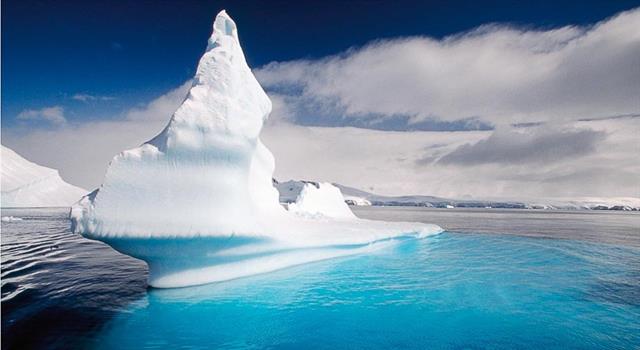 History Trivia Question: What interesting specimen was discovered at Seymour Island, Antarctica in 1982? History Trivia Question: What interesting specimen was discovered at Seymour Island, Antarctica in 1982?