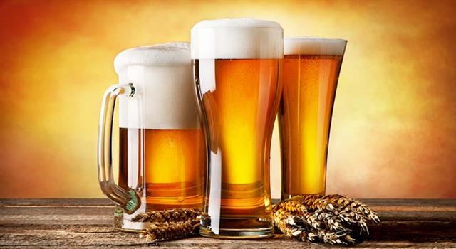 Culture Trivia Question: Which American-made beer was advertised as being, "brewed with the Dutch Touch"? Culture Trivia Question: Which American-made beer was advertised as being, "brewed with the Dutch Touch"?