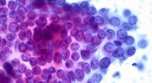 Science Trivia Question: What branch of life science deals with the study of cells in terms of structure, function and chemistry? Science Trivia Question: What branch of life science deals with the study of cells in terms of structure, function and chemistry?