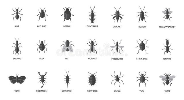 Culture Trivia Question: What insect appears in the title of a literary work by Swedish writer Stieg Larsson in 2007? Culture Trivia Question: What insect appears in the title of a literary work by Swedish writer Stieg Larsson in 2007?