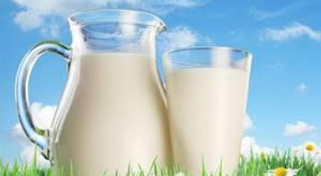 Society Trivia Question: What is the largest milk cooperative company in the world ? Society Trivia Question: What is the largest milk cooperative company in the world ?